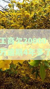 工商信用卡2万逾期4年要还多少-工商信用卡2万逾期4年要还多少钱