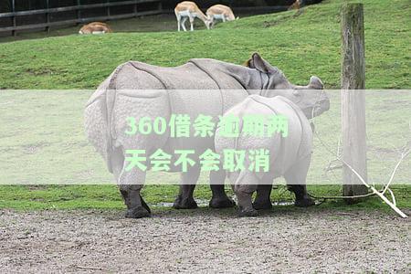 360借条逾期两天会不会取消