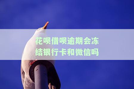 花呗借呗逾期会冻结银行卡和微信吗
