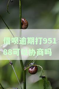 借呗逾期打95188可以协商吗