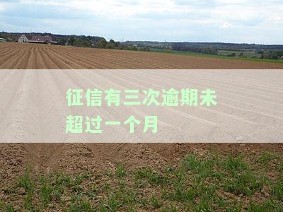 征信有三次逾期未超过一个月