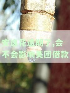 安逸花逾期了,会不会影响美团借款