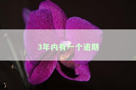 3年内有一个逾期