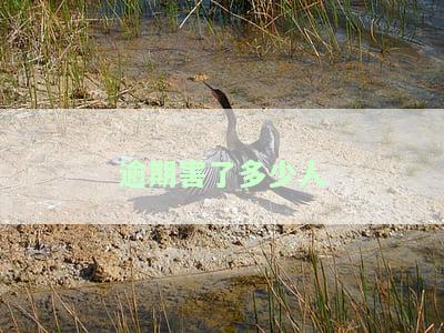 逾期害了多少人