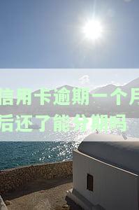 信用卡逾期一个月后还了能分期吗