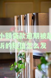 小额贷款逾期被起诉的短信怎么发