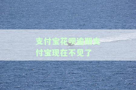 支付宝花呗逾期支付宝现在不见了