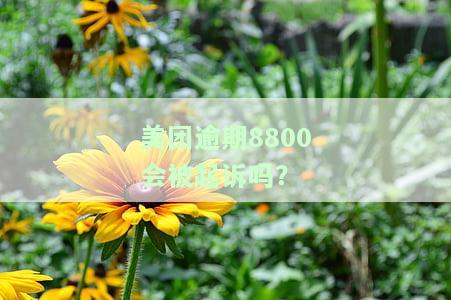 美团逾期8800会被起诉吗？