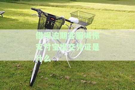借呗逾期客服喊你支付宝提交凭证是什么
