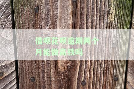 借呗花呗逾期两个月能做高铁吗