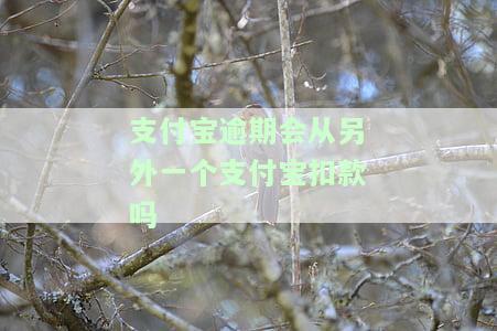 支付宝逾期会从另外一个支付宝扣款吗