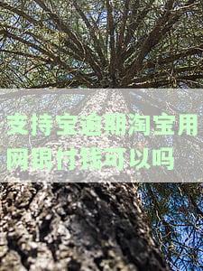支持宝逾期淘宝用网银付钱可以吗