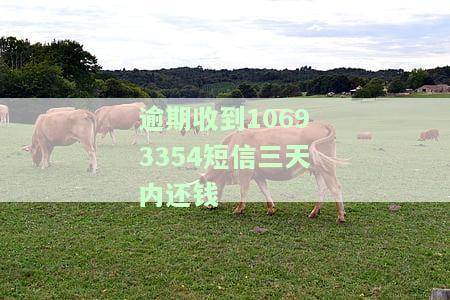 逾期收到10693354短信三天内还钱