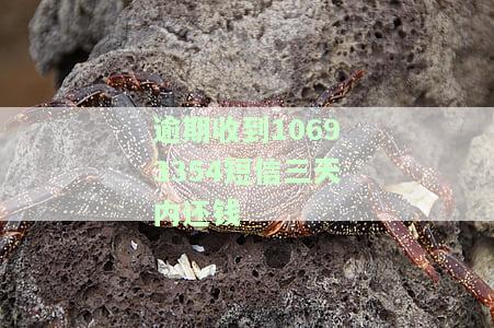 逾期收到10693354短信三天内还钱
