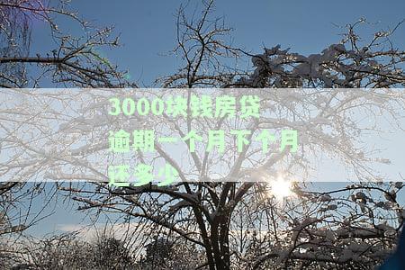 3000块钱房贷逾期一个月下个月还多少