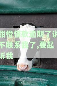 甜橙借款逾期了说不联系我了,要起诉我