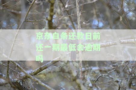 京东白条还款日前还一期最低会逾期吗