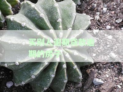 买别人贷款没还完的房子处理及注意事