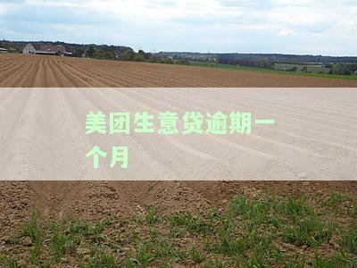 美团生意贷逾期一个月怎么协商不爆通讯录，后果及法院应对方法
