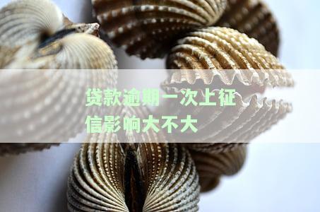 贷款逾期一次上征信会有什么后果