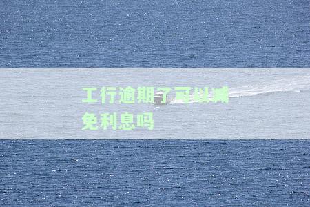 工行逾期了可以减免利息吗