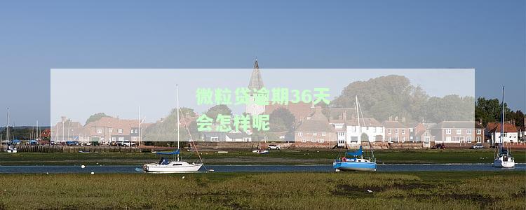 微粒贷逾期36天会怎样呢