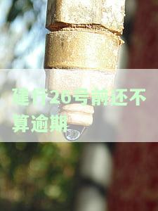 建行26号前还不算逾期