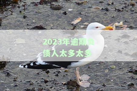 2023年逾期负债人太多太多