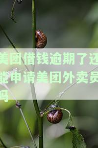 美团借钱逾期了还能申请美团外卖员吗