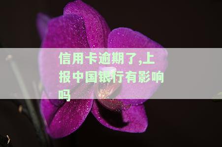 信用卡逾期了,上报中国银行有影响吗怎么办？