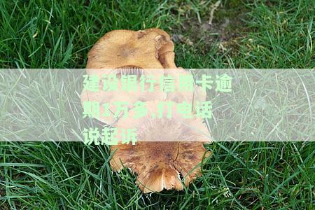 建设银行信用卡逾期1万多,打电话说起诉