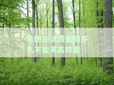 美团生活费逾期了4天再申请就被拒了还能用吗