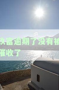 玖富不催款了，后果及下款情况