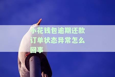 小花钱包逾期还款订单状态异常怎么回事
