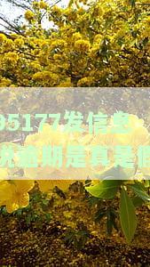 95177发信息说逾期是真是假