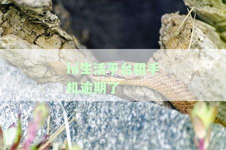hi租手机到期后手机是要还回去的吗