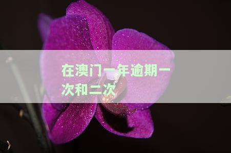 在澳门一年逾期一次和二次一样吗？如何处理在澳门一年逾期两次会有什么后果？
