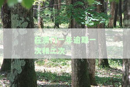 澳门一年内逾期两次会怎样处理和处罚？