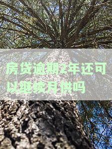 房贷逾期2年还可以继续月供吗