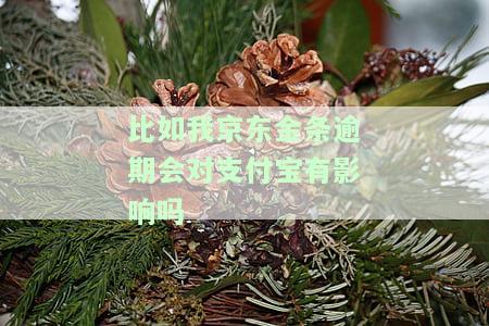 比如我京东金条逾期会对支付宝有影响吗，安全吗？