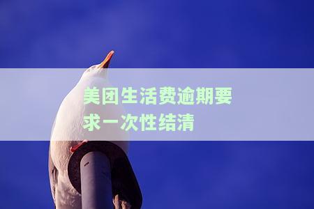 美团生活费逾期要求一次性结清