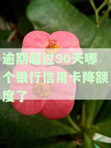 逾期超过90天哪个银行信用卡降额度了呢知乎