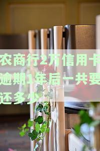 农商行2万信用卡逾期1年后一共要还多少