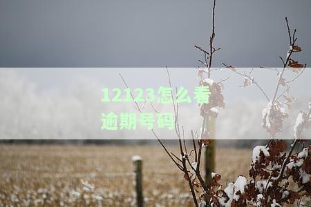 12123怎么看逾期号码