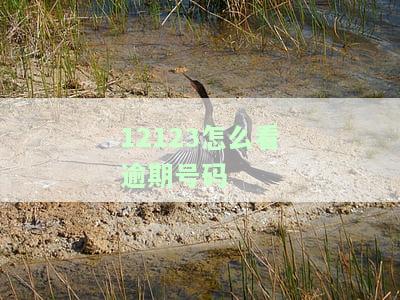 12123怎么看逾期号码