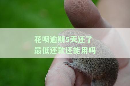 花呗逾期5天还了之后可以继续使用吗