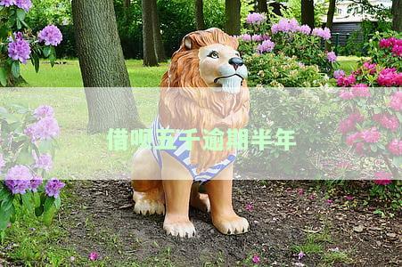 借呗五千逾期半年