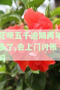 花呗逾期两年多,欠了五千多说要立案怎么办？