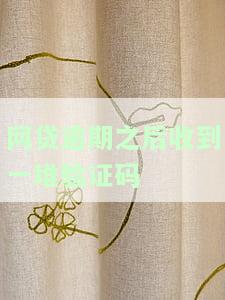 网贷逾期之后收到一堆验证码