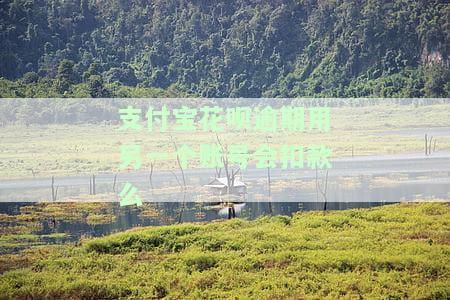支付宝花呗逾期用另一个账号会扣款么
